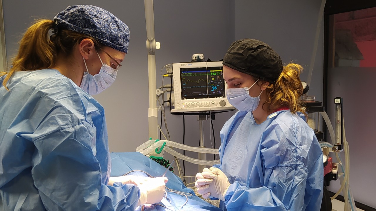 Chirurgie