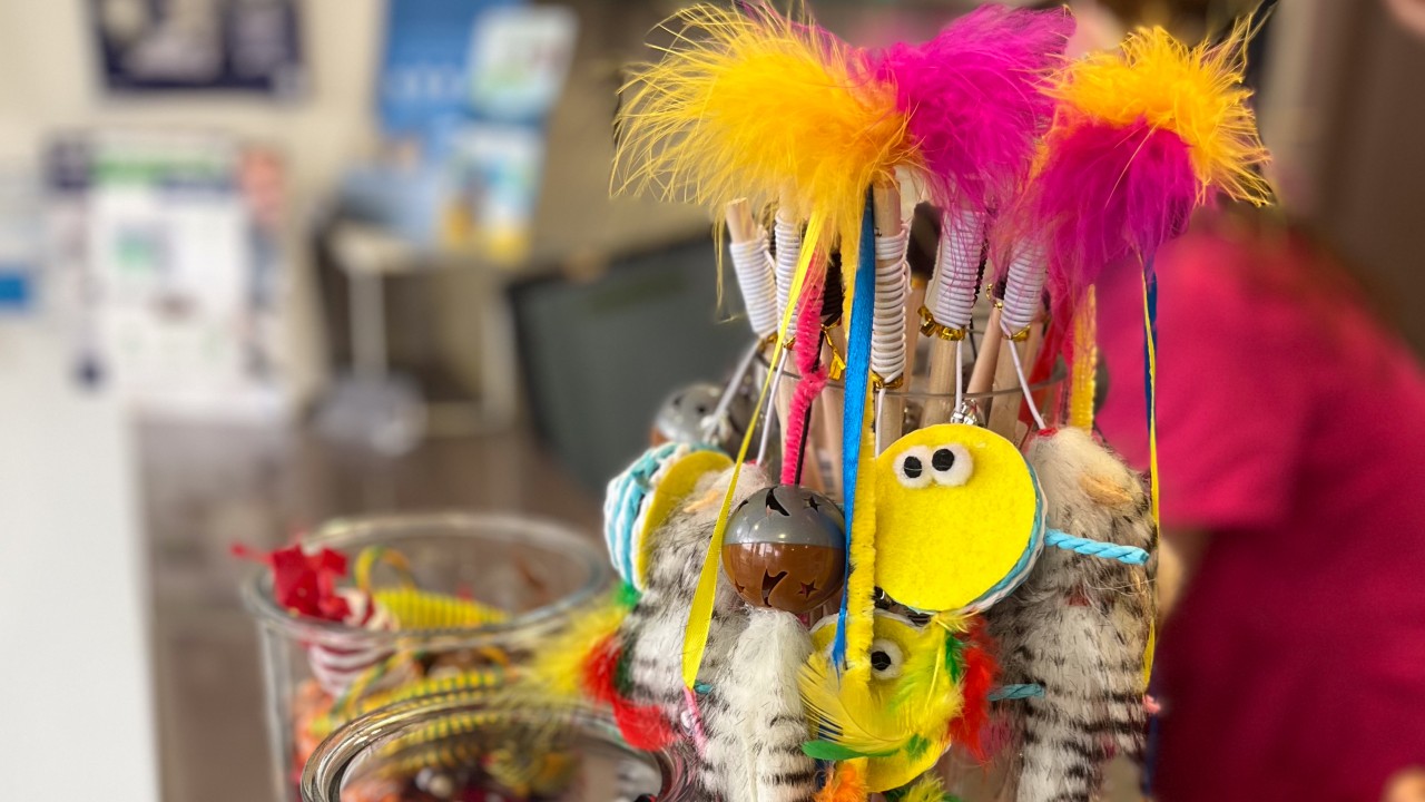 Jouets